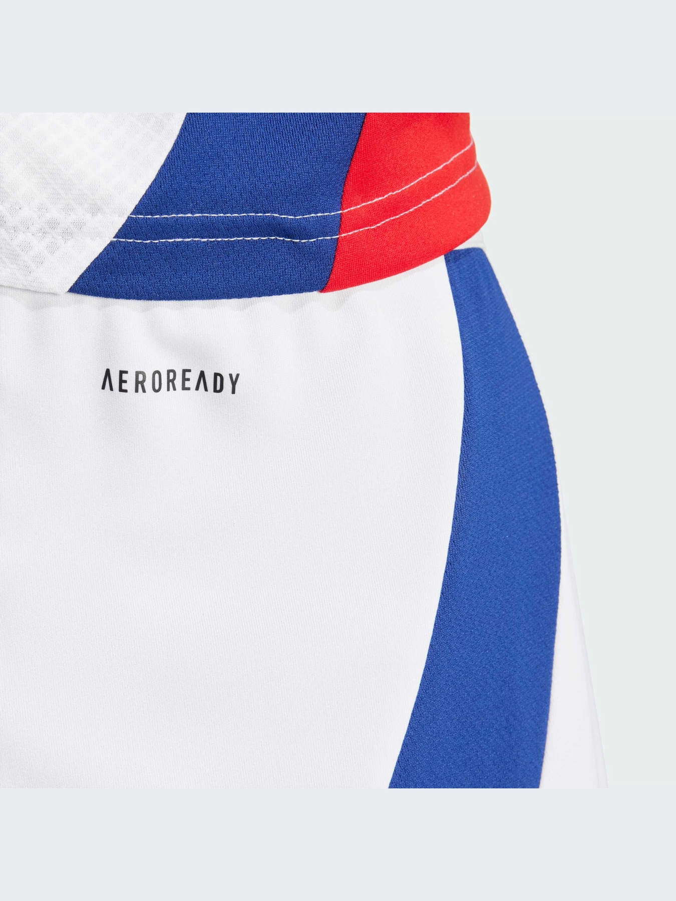 Шорты Adidas модель IT6139-KZ Шорты Adidas модель IT6139-KZ Фото