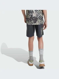 Шорты Adidas Disney модель IV7359-KZ Фото