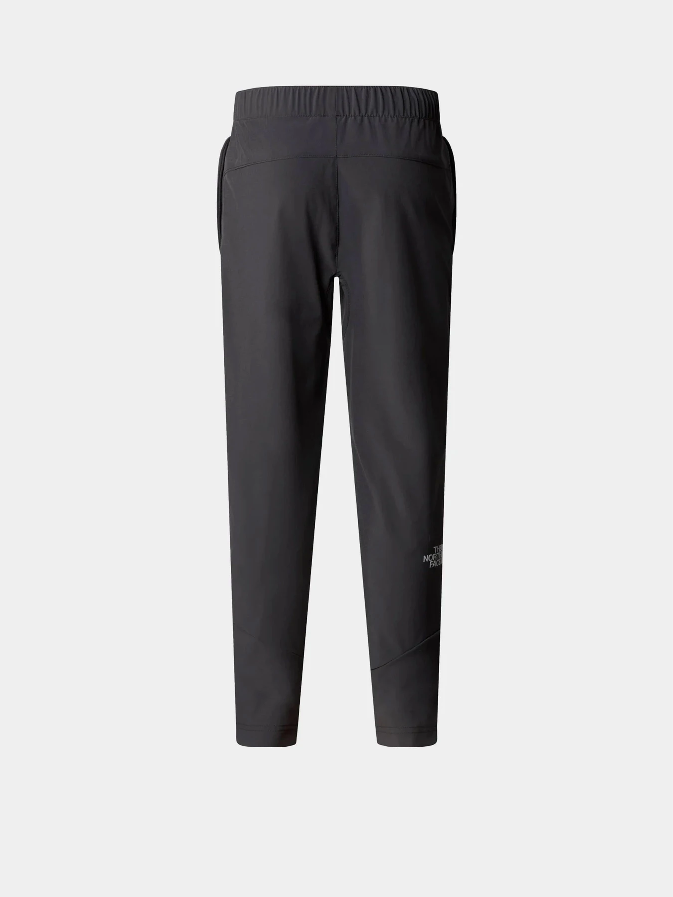 Брюки The North Face модель NF0A89PW0C51 Брюки The North Face модель NF0A89PW0C51 Фото