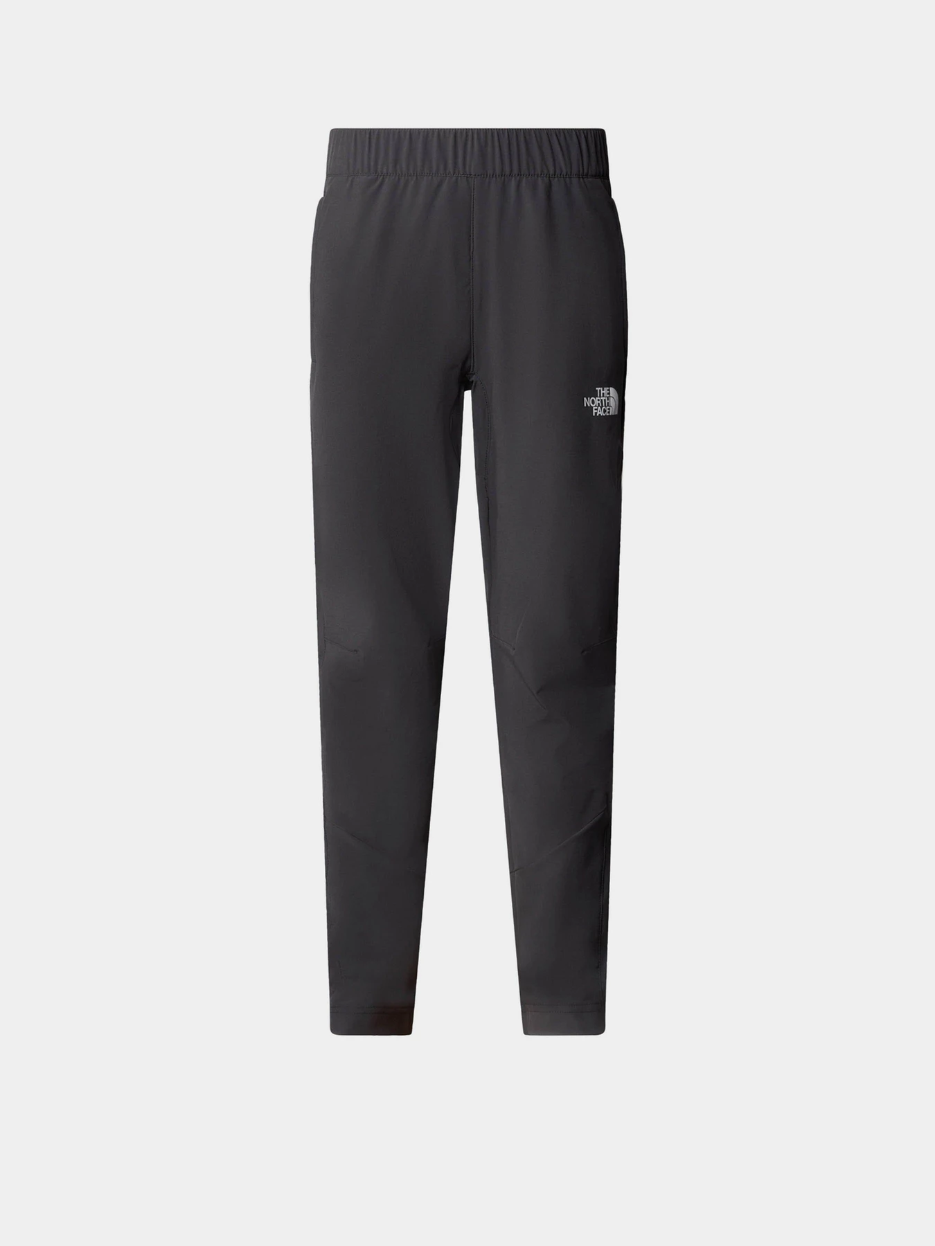 Брюки The North Face модель NF0A89PW0C51 Брюки The North Face модель NF0A89PW0C51 Фото