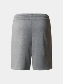 Шорты The North Face модель NF0A86U4DYY1 Фото