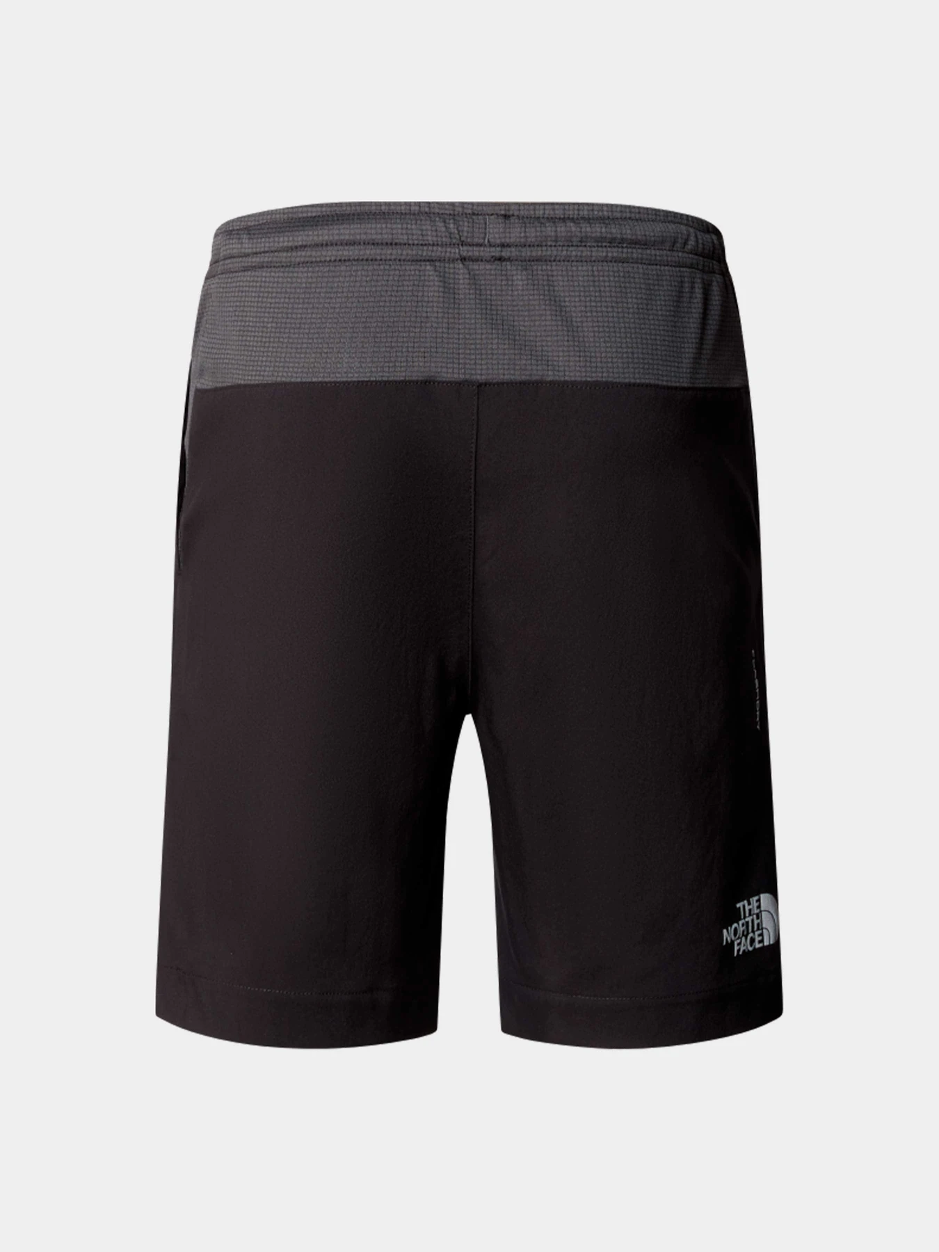 Шорты The North Face модель NF0A89PPKT01 Шорты The North Face модель NF0A89PPKT01 Фото