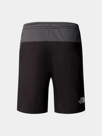 Шорты The North Face модель NF0A89PPKT01 Фото