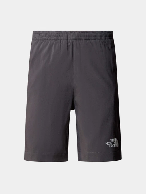 Шорты The North Face модель NF0A89PPU3I1 Фото