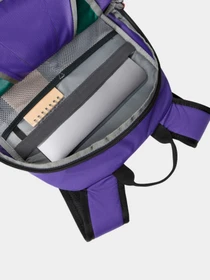 Рюкзаки The North Face модель NF0A87GGXO11 Фото