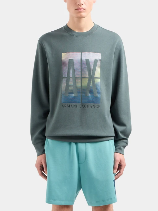 Худи и свитшоты Armani Exchange модель 3DZMJE-ZJZDZ-1839 Фото