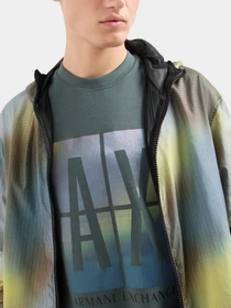Худи и свитшоты Armani Exchange модель 3DZMJE-ZJZDZ-1839 Фото