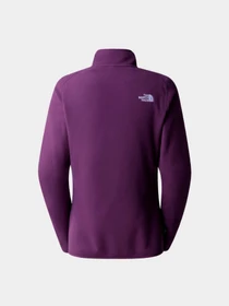 Худи и свитшоты The North Face модель NF0A855MV6V1 Фото