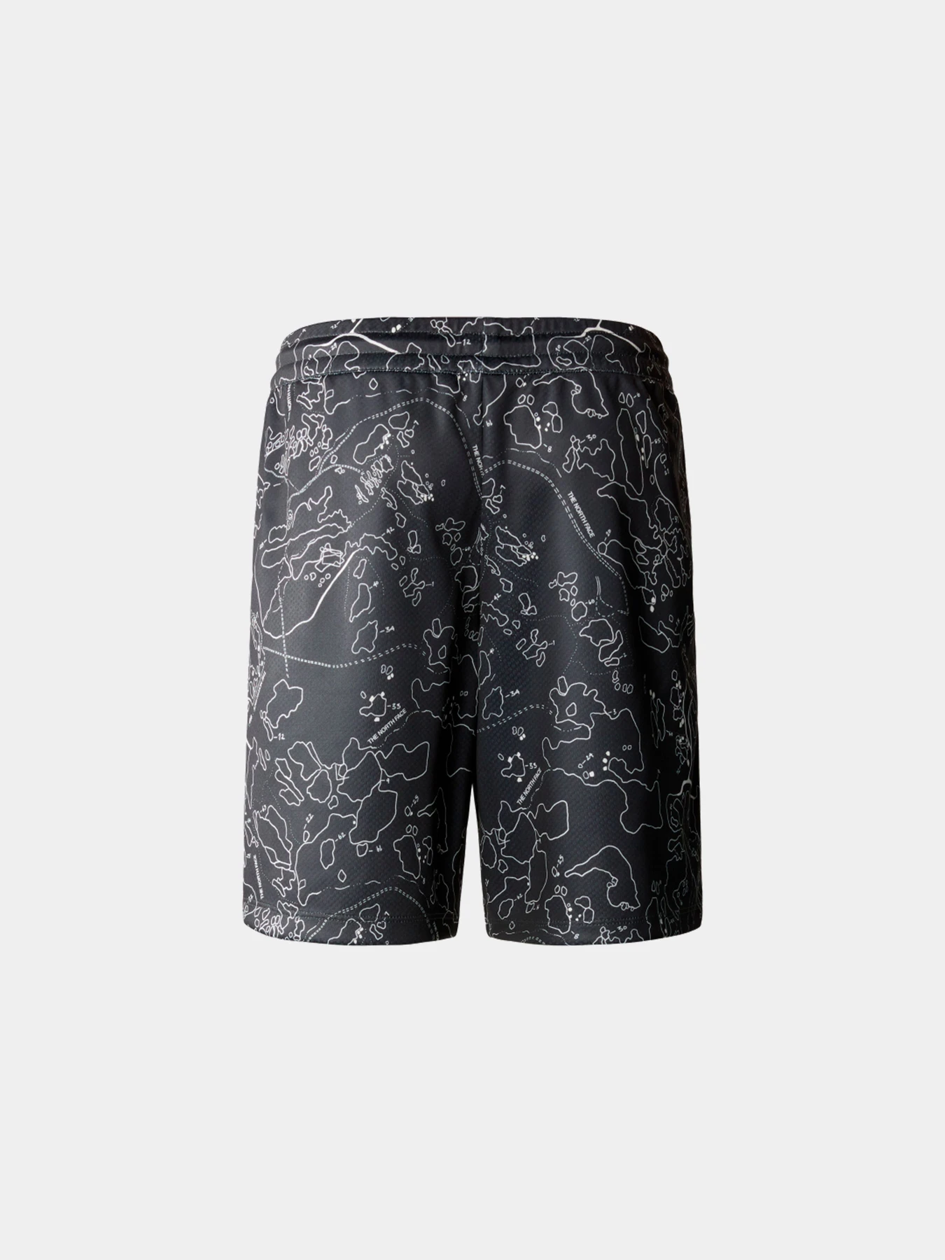 Шорты The North Face модель NF0A86U4SXI1 Шорты The North Face модель NF0A86U4SXI1 Фото