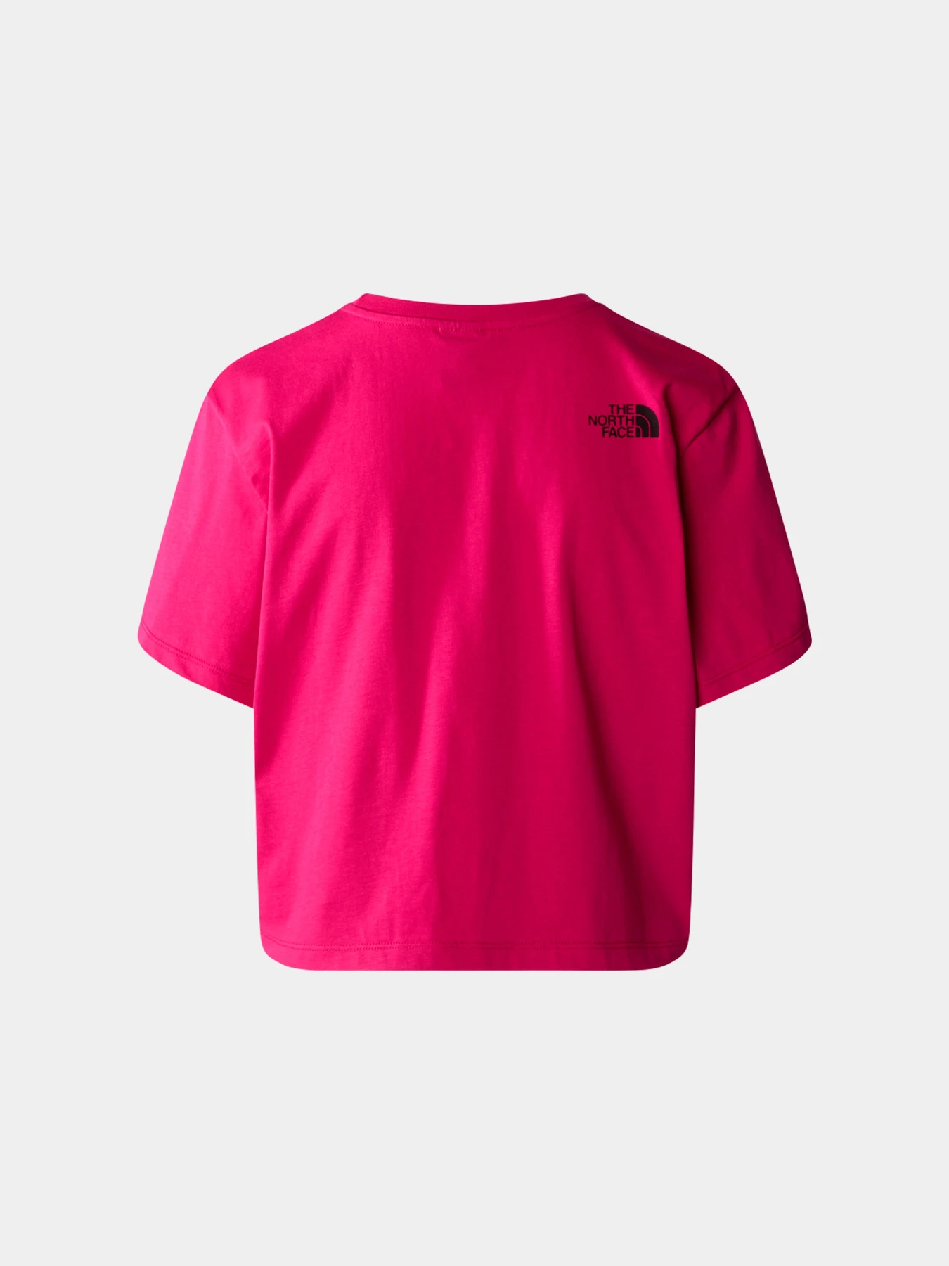 Футболки и поло The North Face модель NF0A87NAPYI1 Футболки и поло The North Face модель NF0A87NAPYI1 Фото