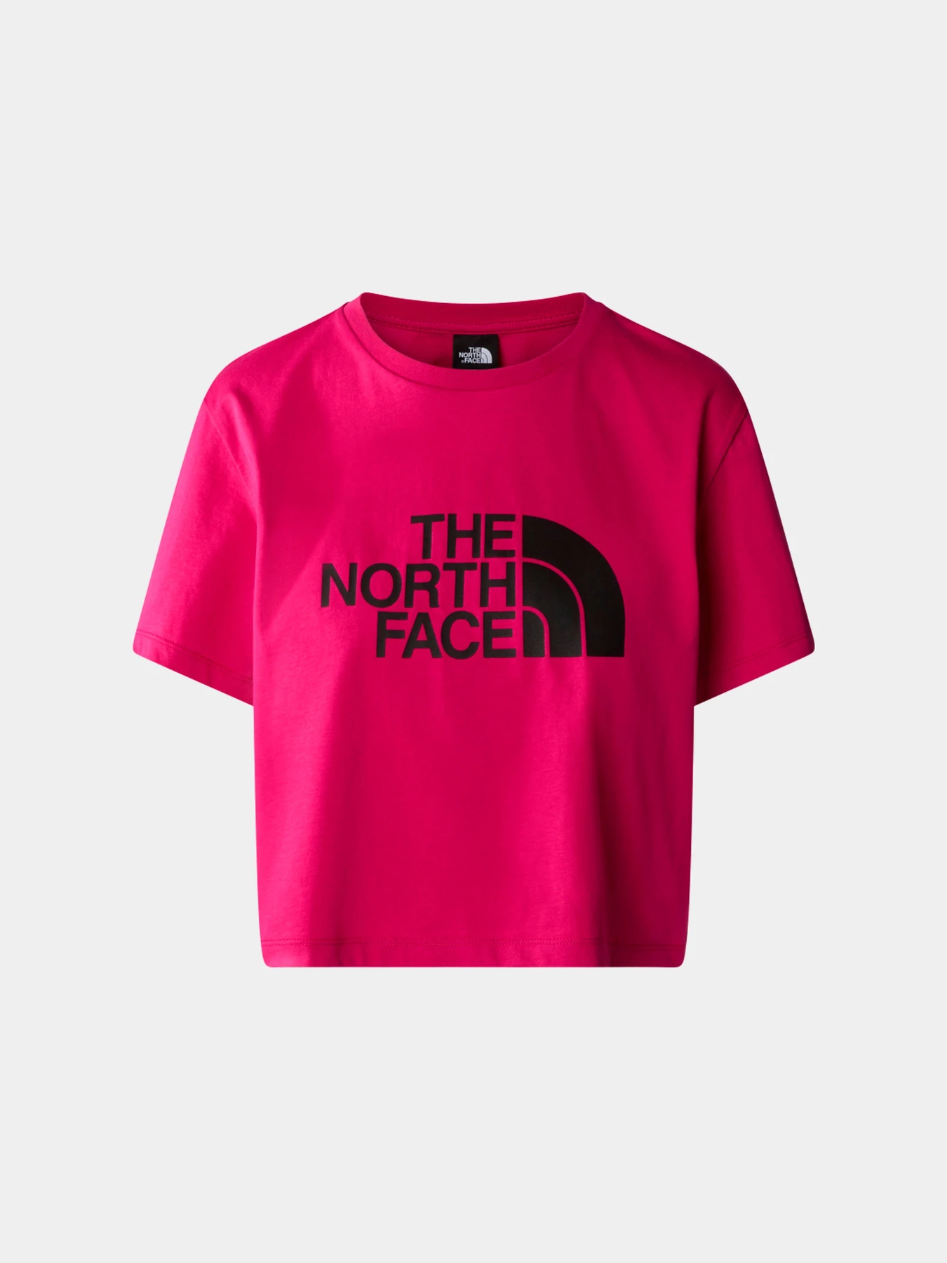 Футболки и поло The North Face модель NF0A87NAPYI1 Футболки и поло The North Face модель NF0A87NAPYI1 Фото