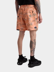 Шорты Vans модель VN0008KUCR51 Фото