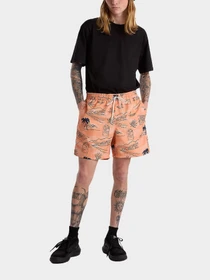 Шорты Vans модель VN0008KUCR51 Фото