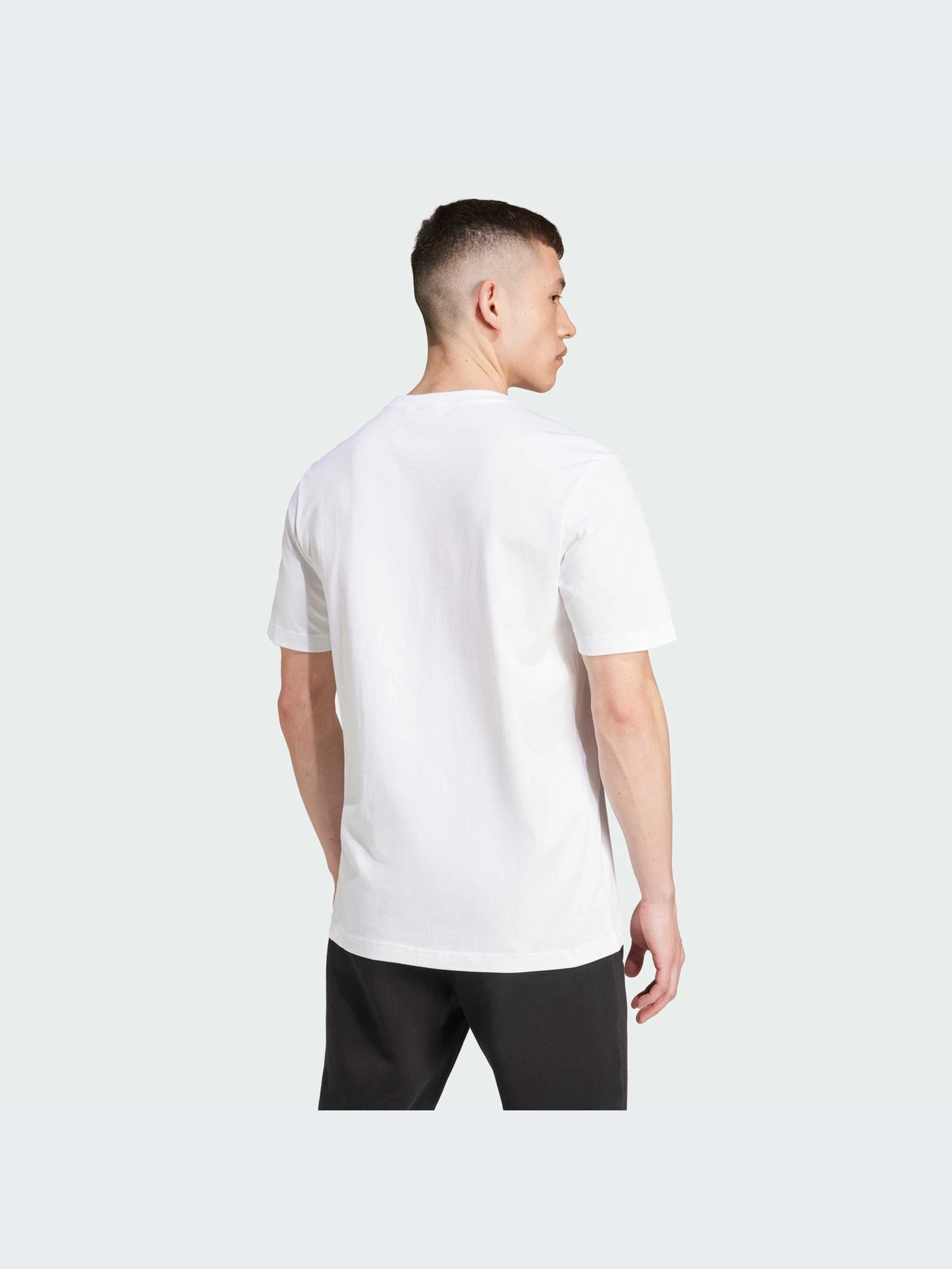 Футболки и поло Adidas Graphics модель IX9652-KZ Футболки и поло Adidas Graphics модель IX9652-KZ Фото