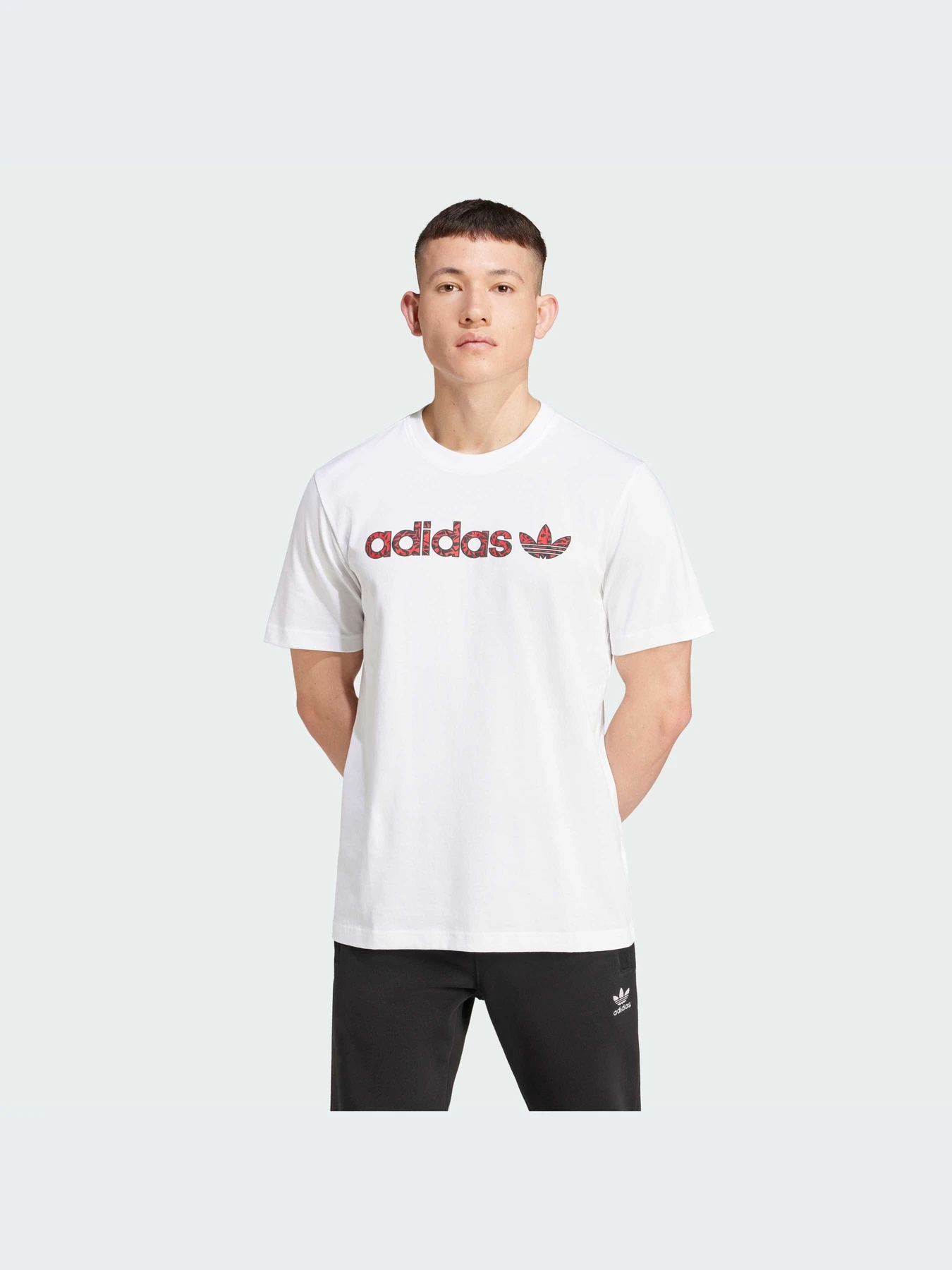 Футболки и поло Adidas Graphics модель IX9652-KZ Футболки и поло Adidas Graphics модель IX9652-KZ Фото