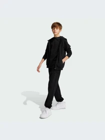 Худи и свитшоты Adidas модель IX9448-KZ Фото