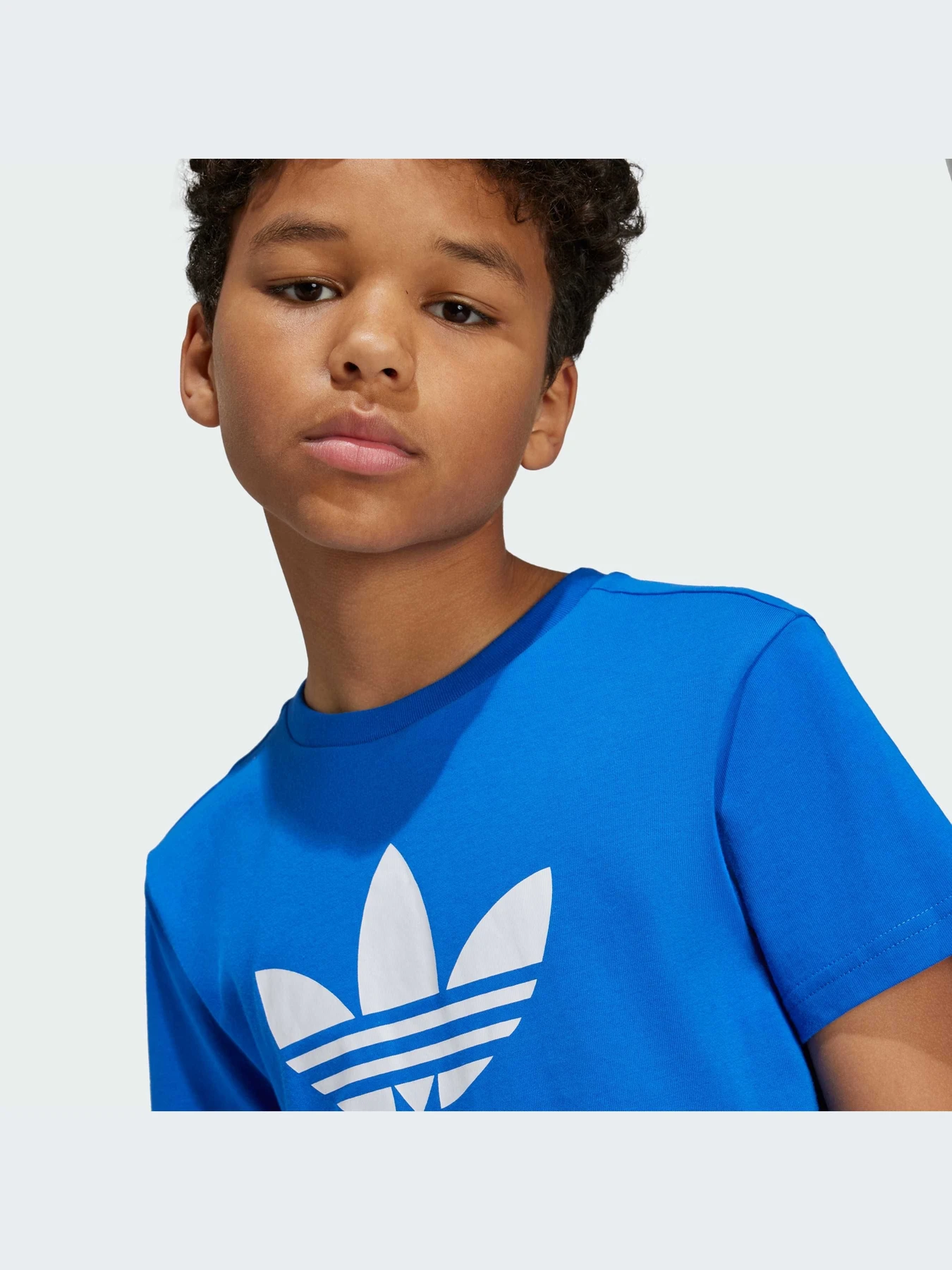 Футболки и поло Adidas Adicolor модель IY7425-KZ Футболки и поло Adidas Adicolor модель IY7425-KZ Фото