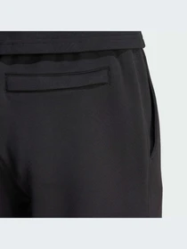 Брюки Adidas Adicolor модель IW0973-KZ Фото