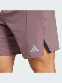 Шорты Adidas модель IX9120-KZ Фото