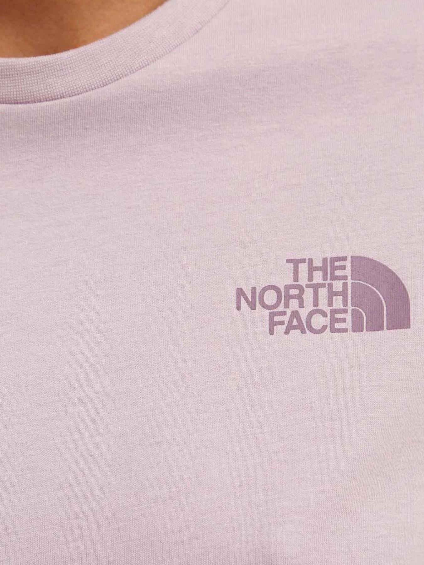 Футболки и поло The North Face модель NF0A87NK7AI1 Футболки и поло The North Face модель NF0A87NK7AI1 Фото