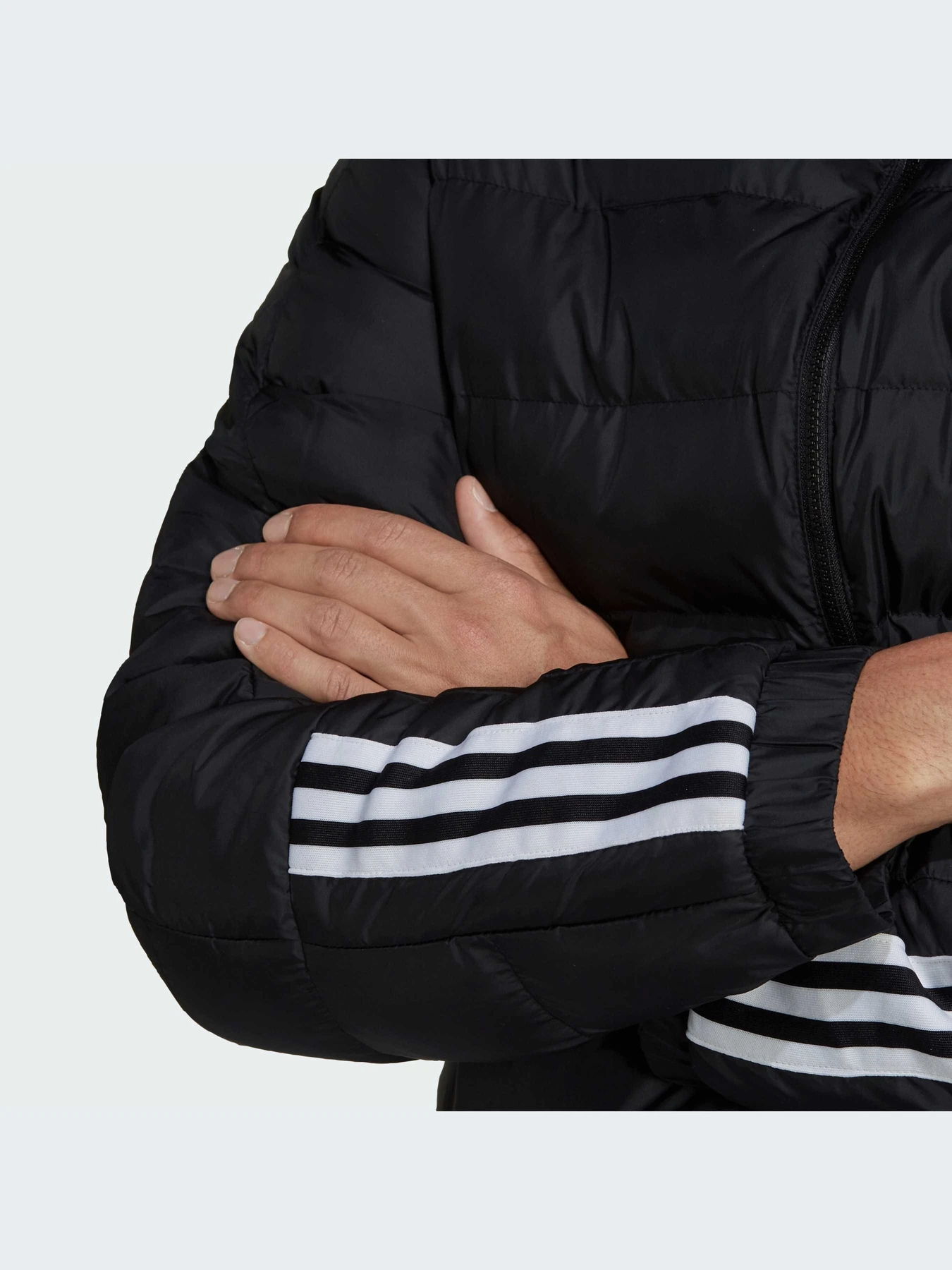 Куртки и дубленки Adidas 3 Stripes модель GT1674-KZ Куртки и дубленки Adidas 3 Stripes модель GT1674-KZ Фото