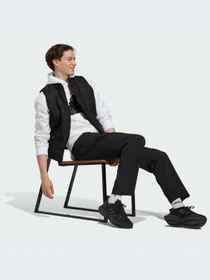 Брюки Adidas модель IC9415-KZ Фото