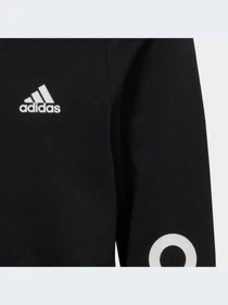 Худи и свитшоты Adidas модель IC3584-KZ Фото