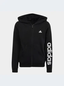 Худи и свитшоты Adidas модель IC3584-KZ Фото