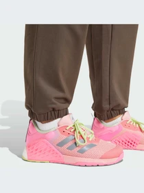 Брюки Adidas модель IV9221-KZ Фото