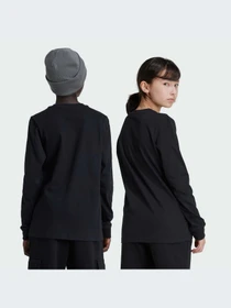 Худи и свитшоты Adidas Graphics модель IY5454-KZ Фото