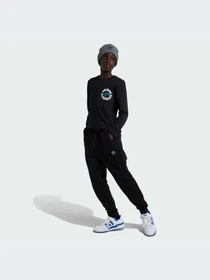 Худи и свитшоты Adidas Graphics модель IY5454-KZ Фото