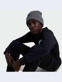 Худи и свитшоты Adidas Graphics модель IY5454-KZ Фото