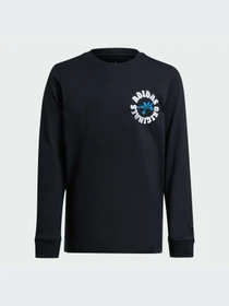 Худи и свитшоты Adidas Graphics модель IY5454-KZ Фото