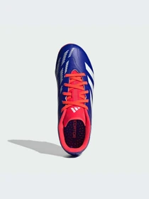 Кроссовки Adidas Predator модель ID0911-KZ Фото
