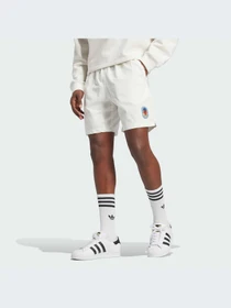 Шорты Adidas Graphics модель IX6756-KZ Фото