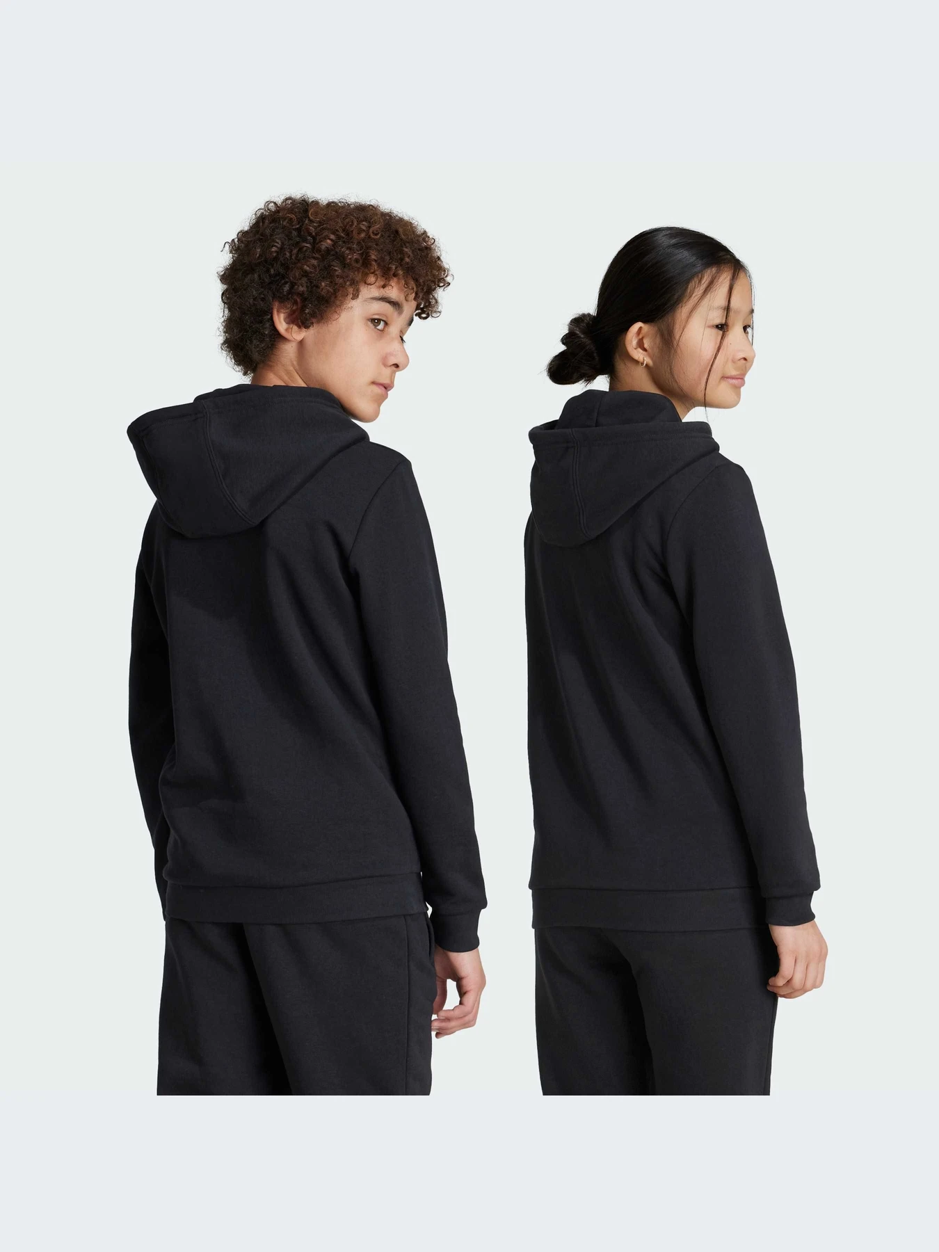 Худи и свитшоты Adidas Adicolor модель IY7446-KZ Худи и свитшоты Adidas Adicolor модель IY7446-KZ Фото