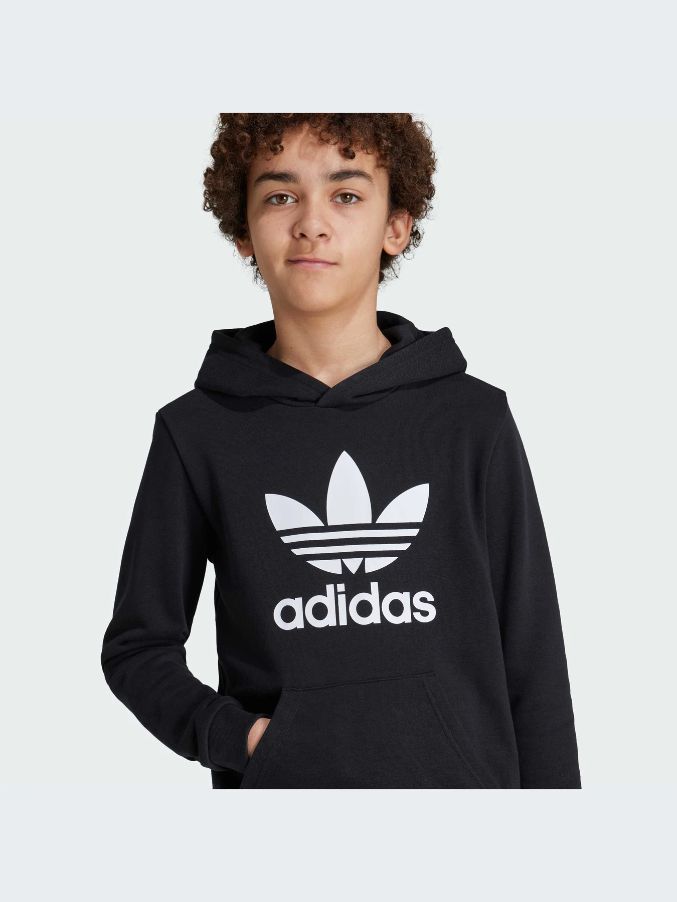 Худи и свитшоты Adidas Adicolor модель IY7446-KZ Худи и свитшоты Adidas Adicolor модель IY7446-KZ Фото