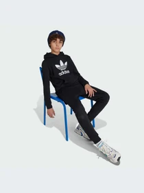 Худи и свитшоты Adidas Adicolor модель IY7446-KZ Фото