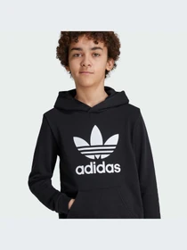 Худи и свитшоты Adidas Adicolor модель IY7446-KZ Фото