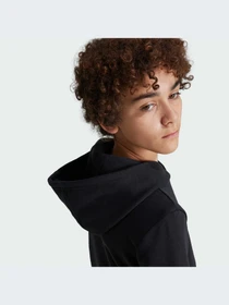 Худи и свитшоты Adidas Adicolor модель IY7446-KZ Фото