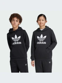 Худи и свитшоты Adidas Adicolor модель IY7446-KZ Фото