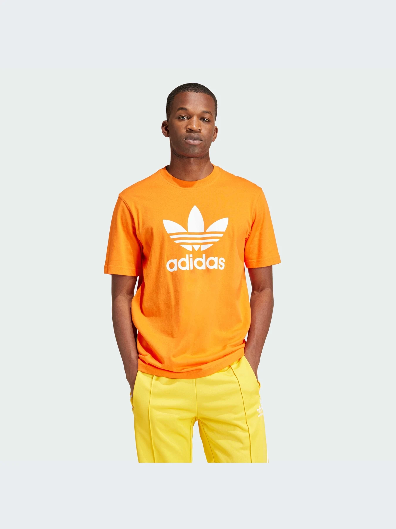 Футболки и поло Adidas Adicolor модель IR8000-KZ Футболки и поло Adidas Adicolor модель IR8000-KZ Фото