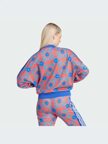 Худи и свитшоты Adidas модель IQ4496-KZ Фото