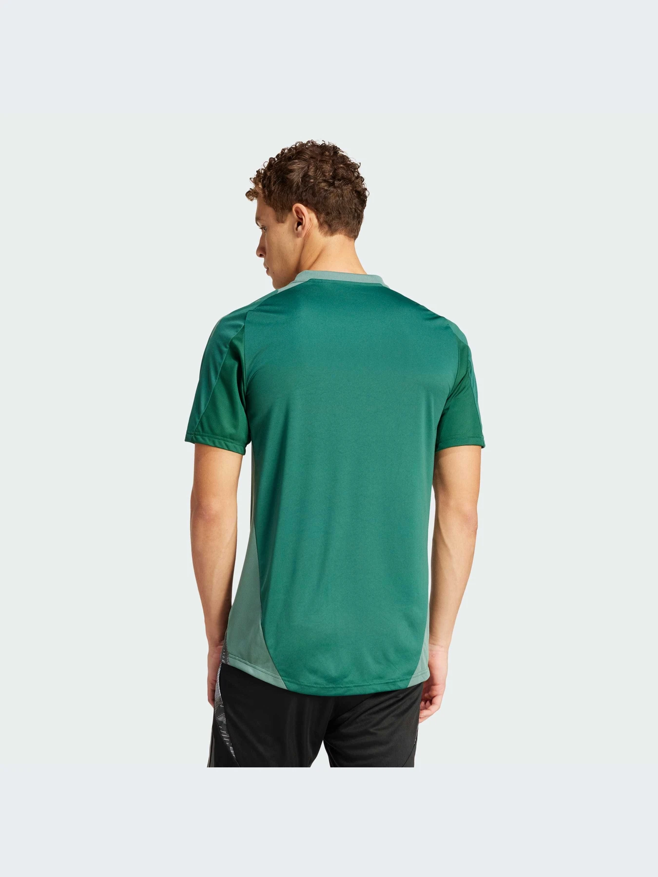 Футболки и поло Adidas Tiro модель IS1655-KZ Футболки и поло Adidas Tiro модель IS1655-KZ Фото