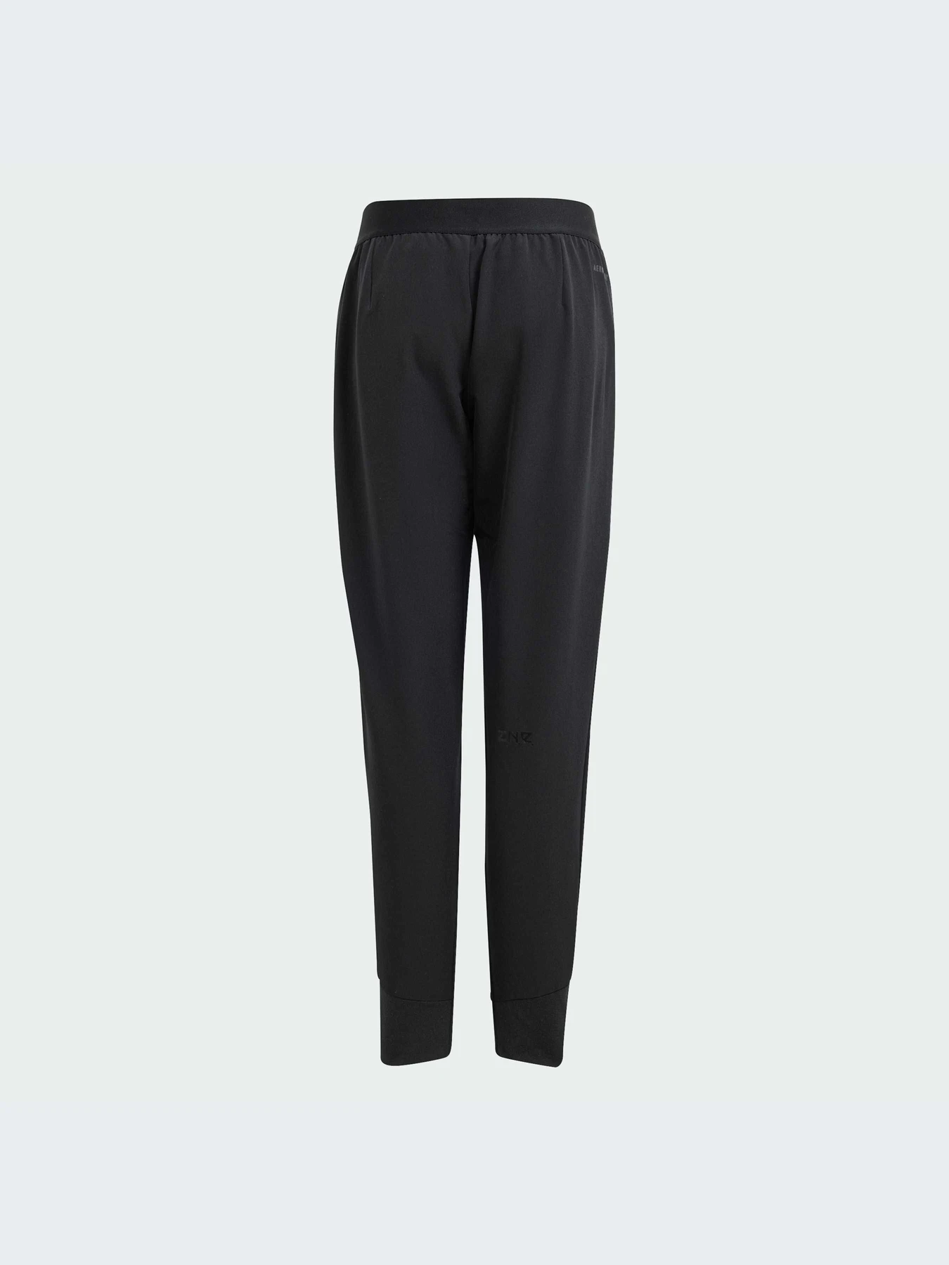 Брюки Adidas ZNE модель IN6962-KZ Брюки Adidas ZNE модель IN6962-KZ Фото