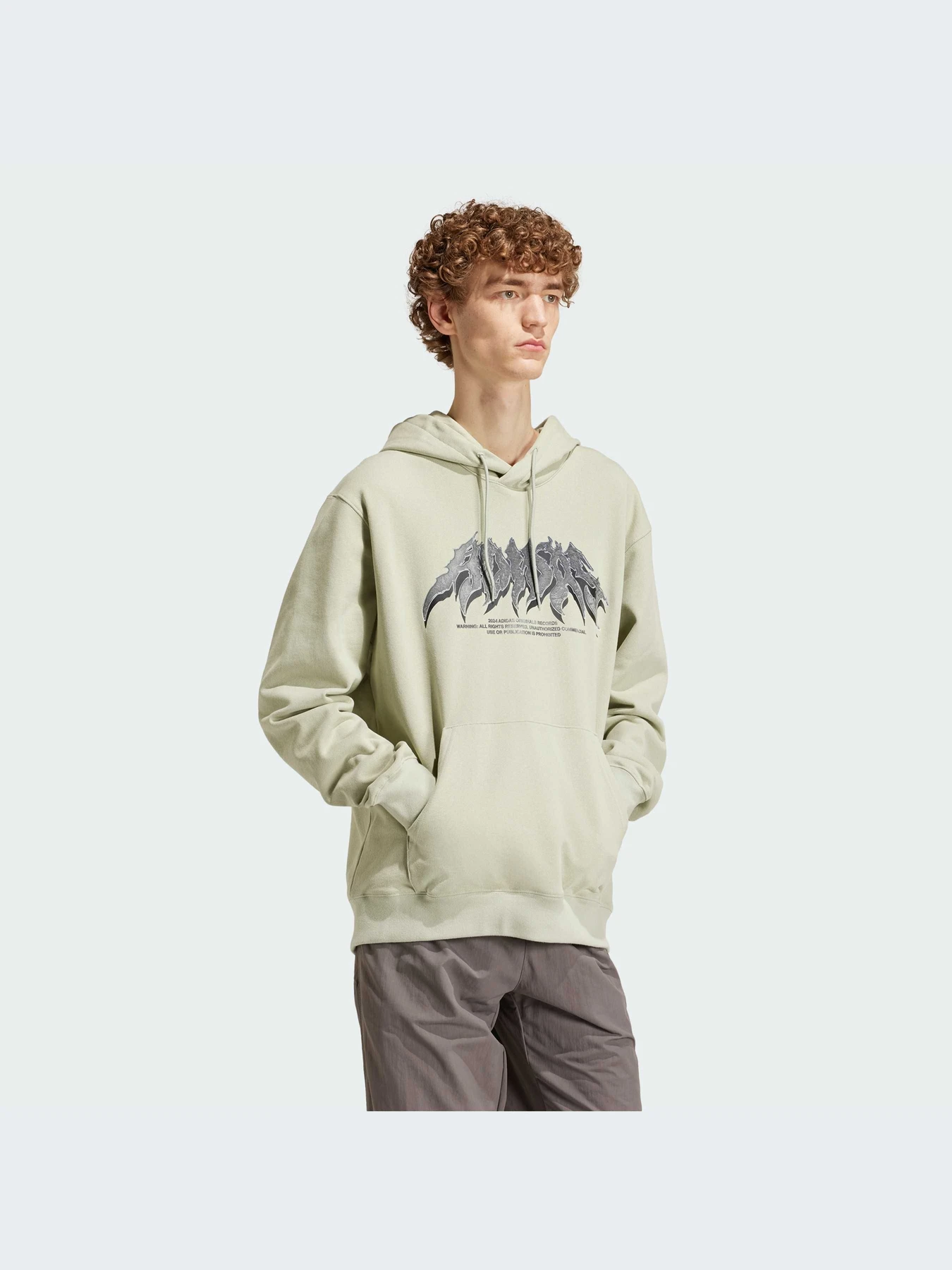 Худи и свитшоты Adidas Graphics модель IS2948-KZ Худи и свитшоты Adidas Graphics модель IS2948-KZ Фото