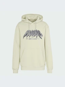Худи и свитшоты Adidas Graphics модель IS2948-KZ Фото