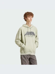 Худи и свитшоты Adidas Graphics модель IS2948-KZ Фото