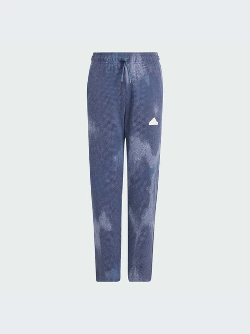 Брюки Adidas модель IT9039-KZ Фото