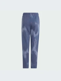 Брюки Adidas модель IT9039-KZ Фото
